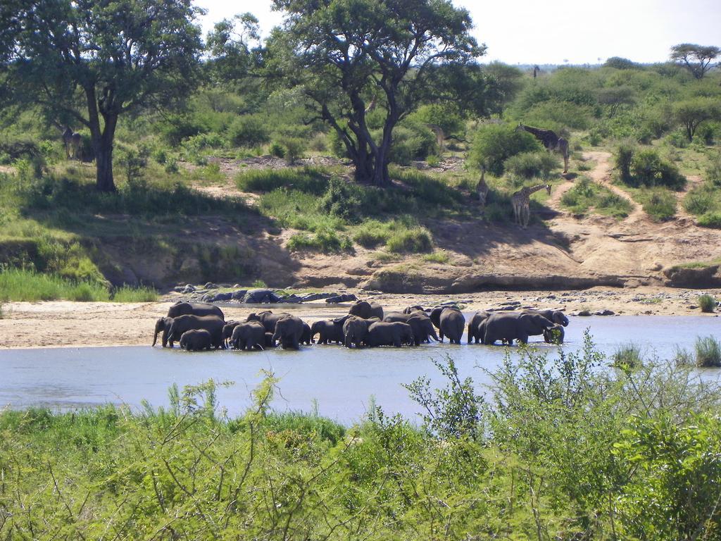 Pestana Kruger Lodge Malalane Εξωτερικό φωτογραφία